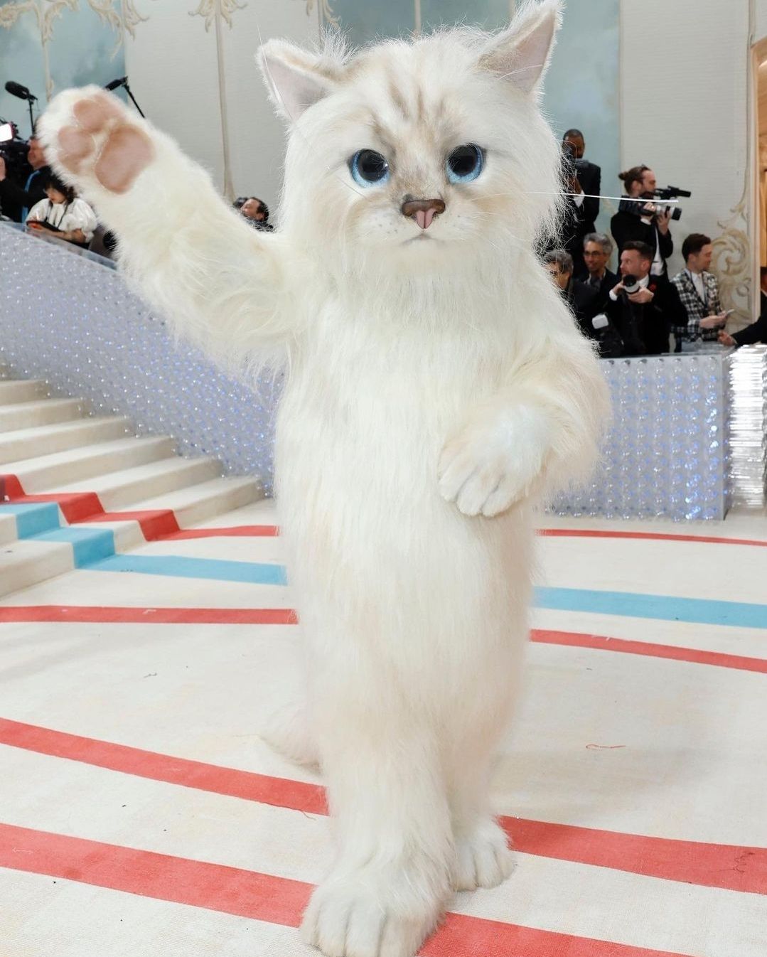 Jared Leto crossplayed as Choupette at Met Gala 2023