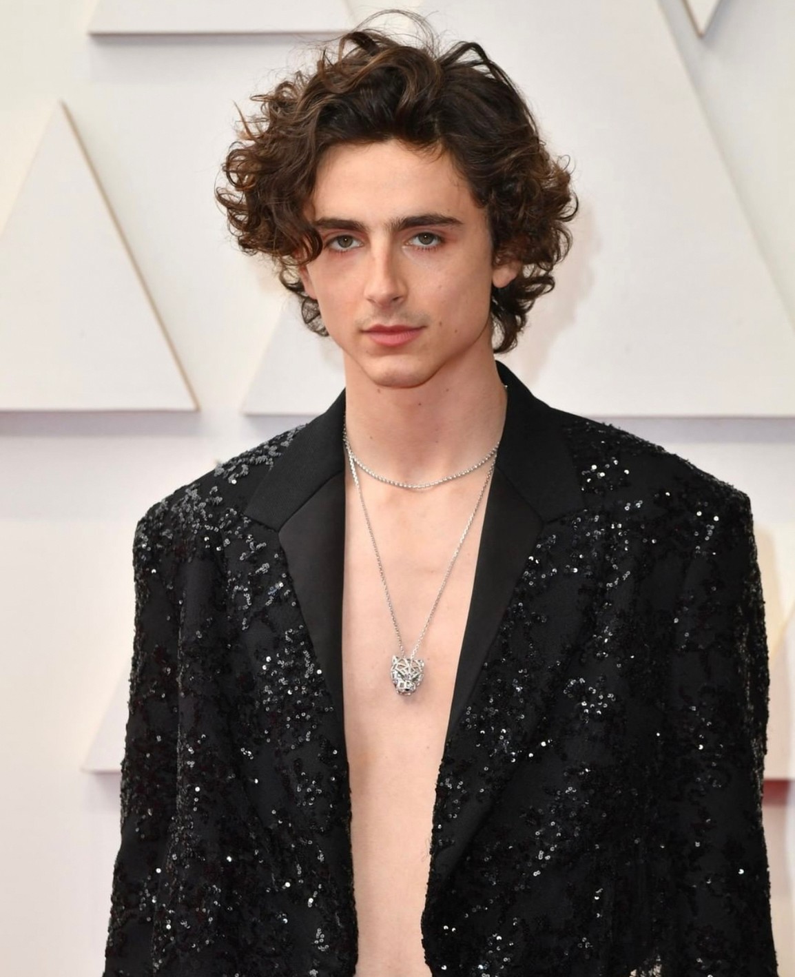 Timothee-Chalame-Oscars-Cartier