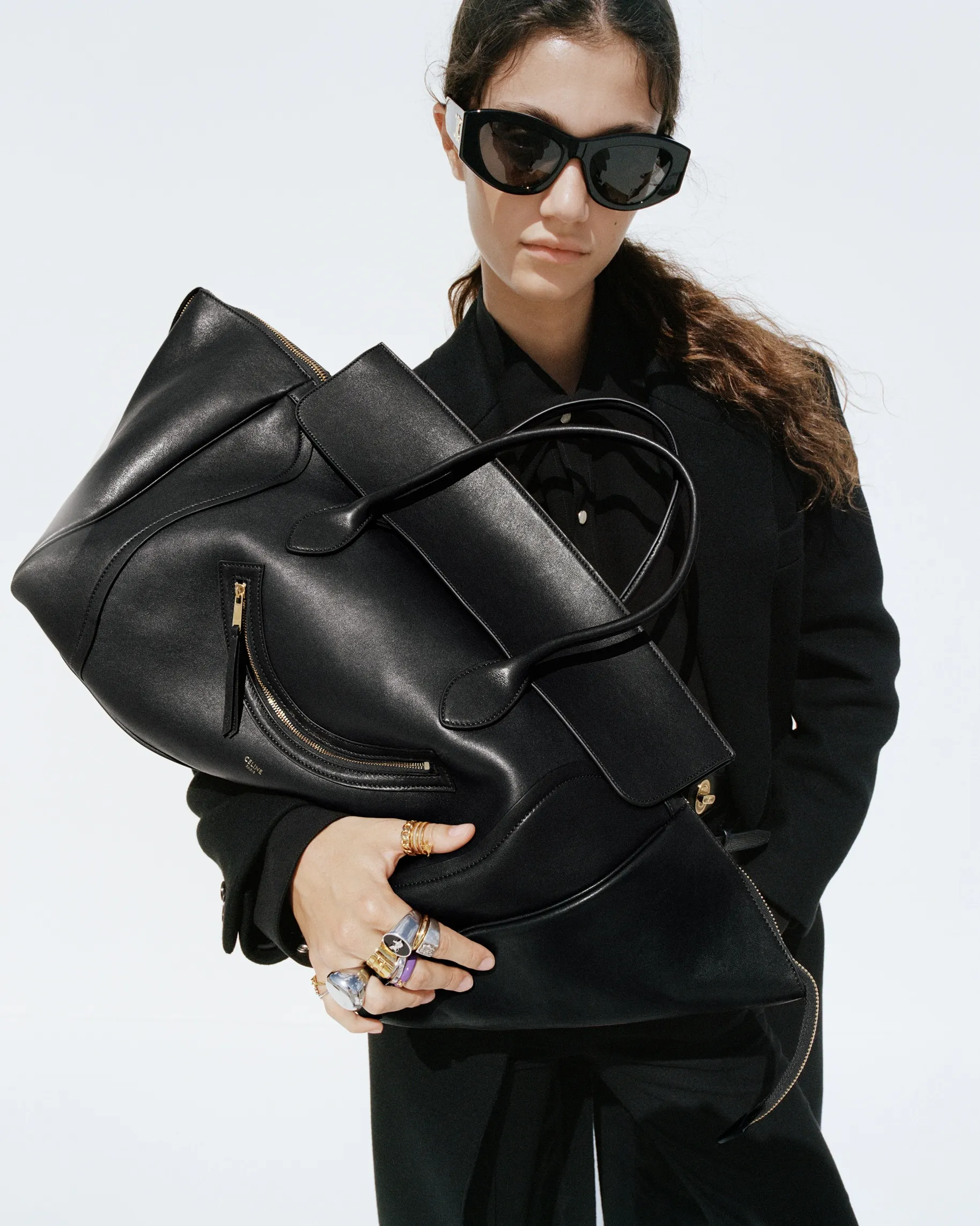 Celine New Luggage