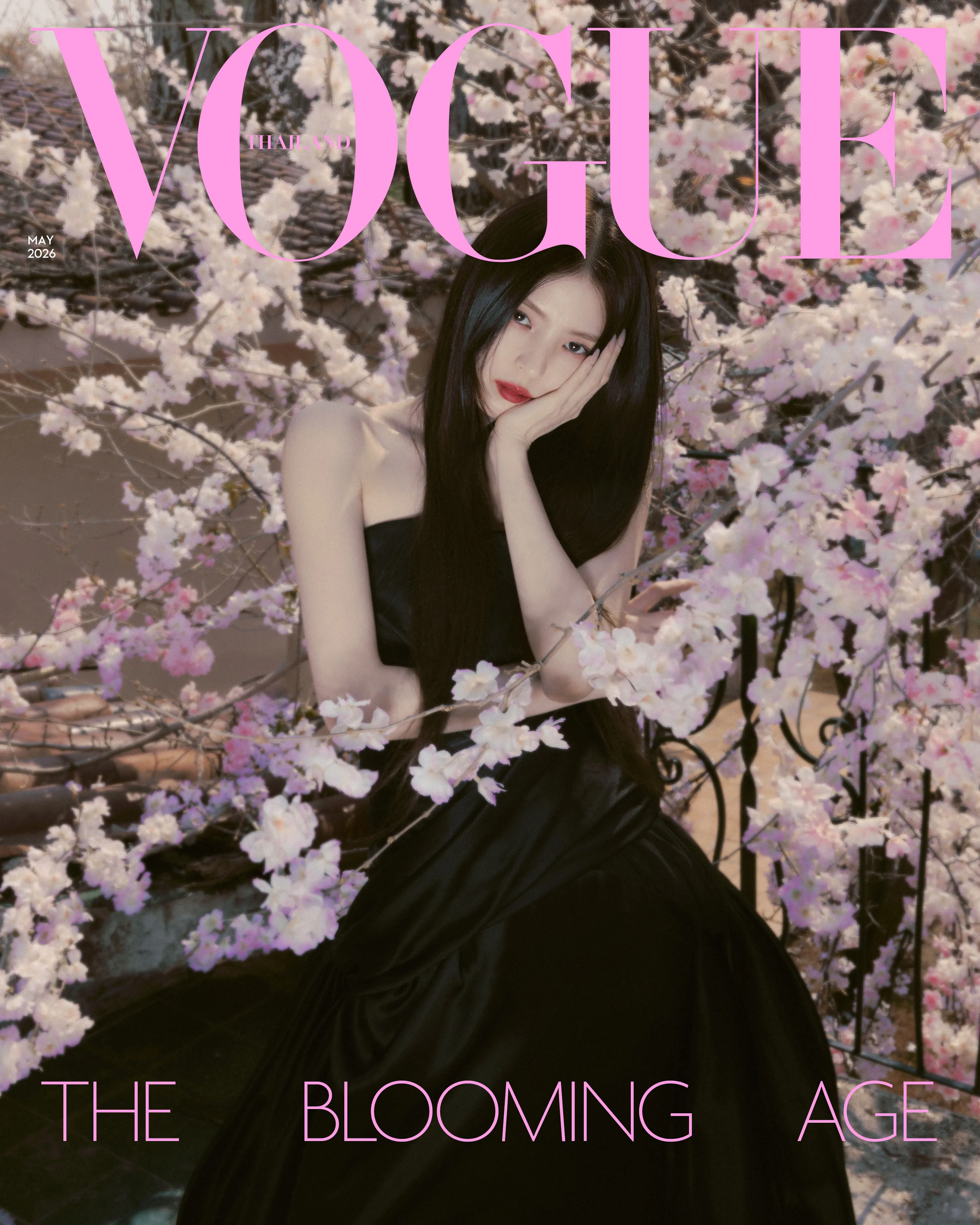 Han So-hee ในโททัลลุค Dior บนปก Vogue