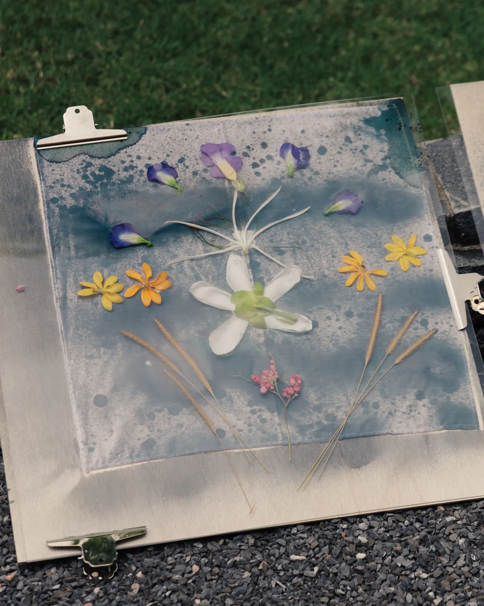 Cyanotype Printing With The Sun by Flaws sol festival 2025