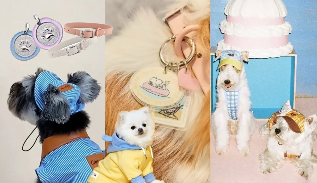 dog items