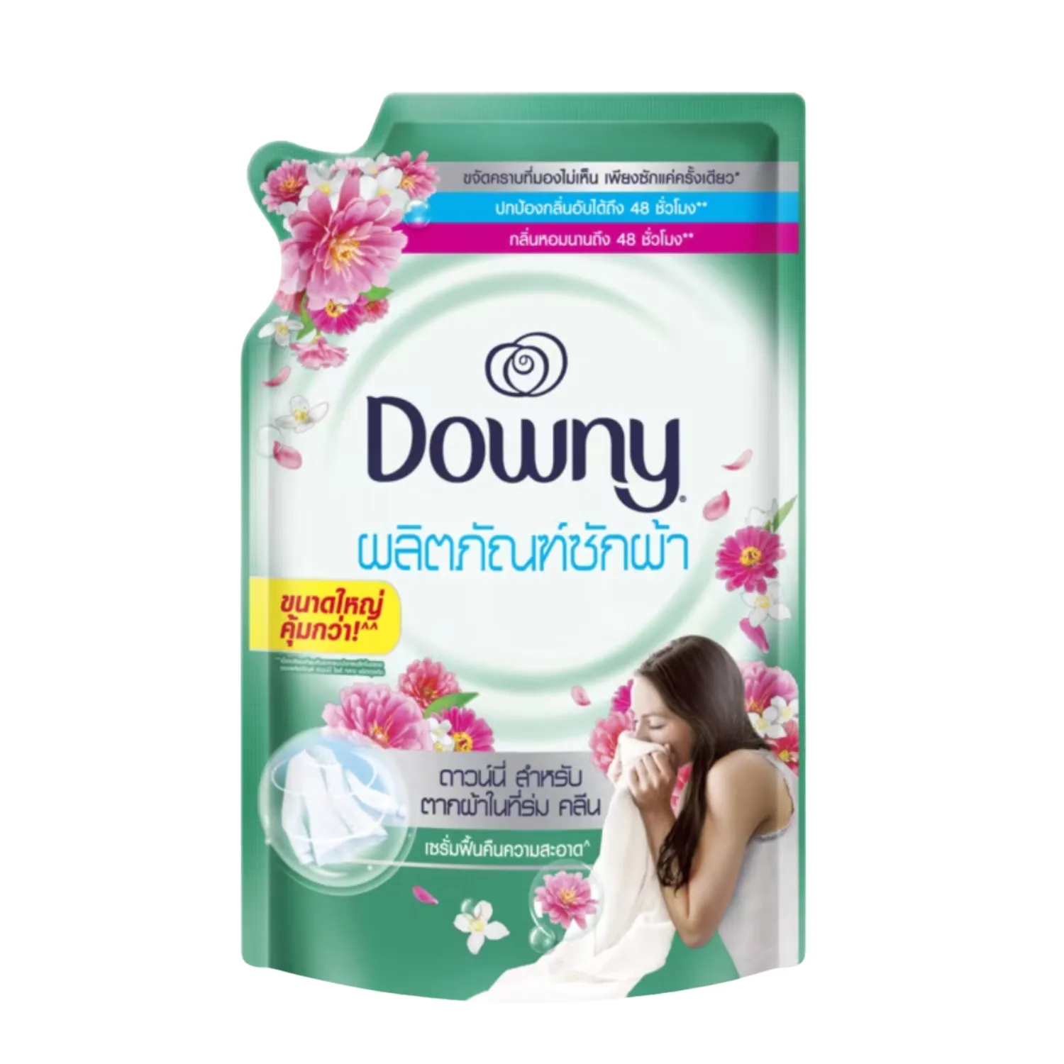 Liquid Concentrate Detergent Indoor Dry Clean (ราคา 189 บาท) จาก Downy