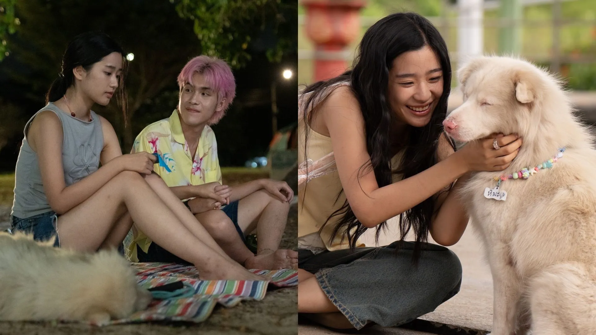 'โกฮัง..หัวใจโกโฮม' ภาพยนตร์น้องหมา…ที่ดูจบแล้ว คุณอาจอยากกลับไปกอดใครสักคน