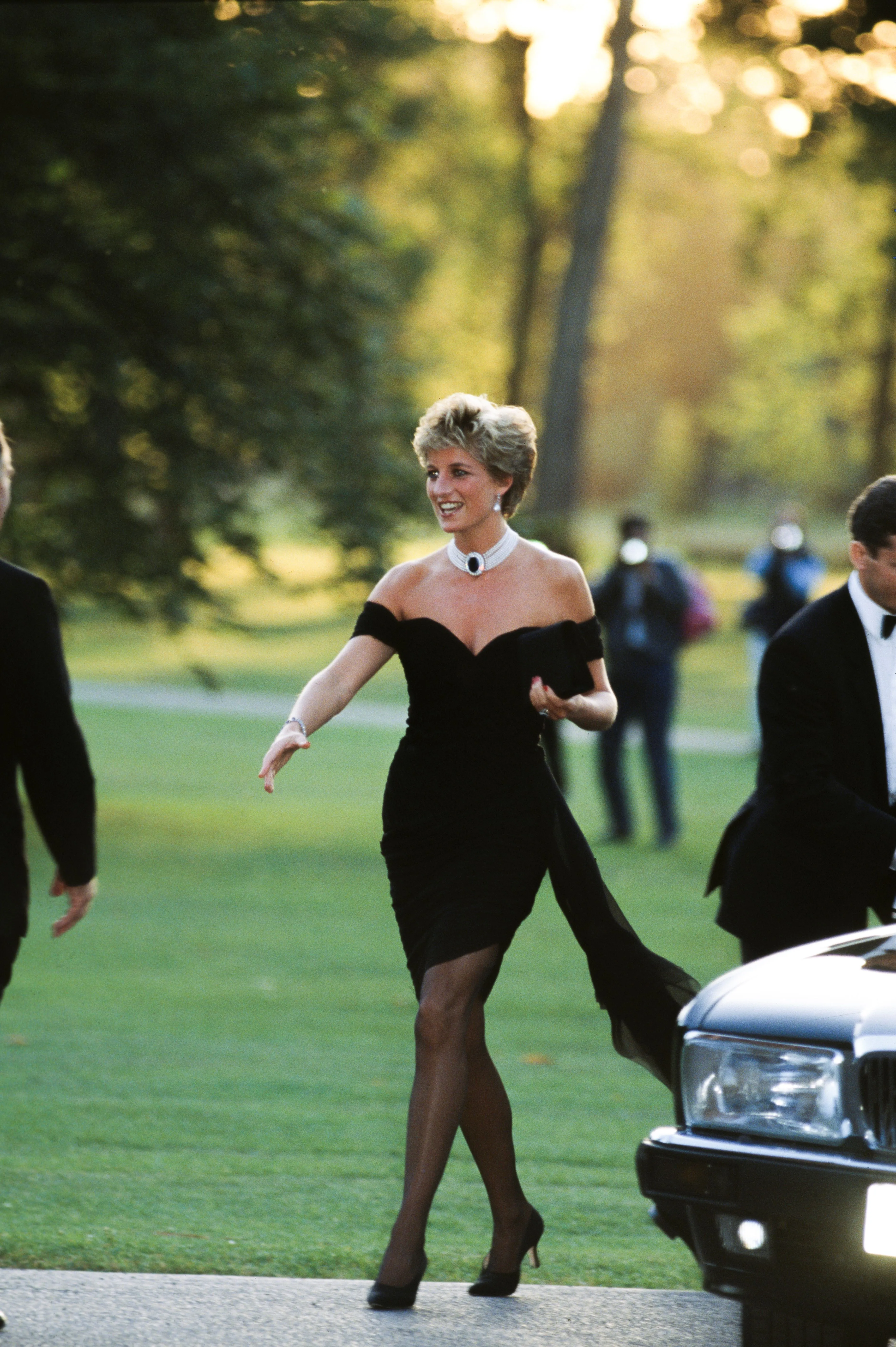 Dior, Revenge Dress
