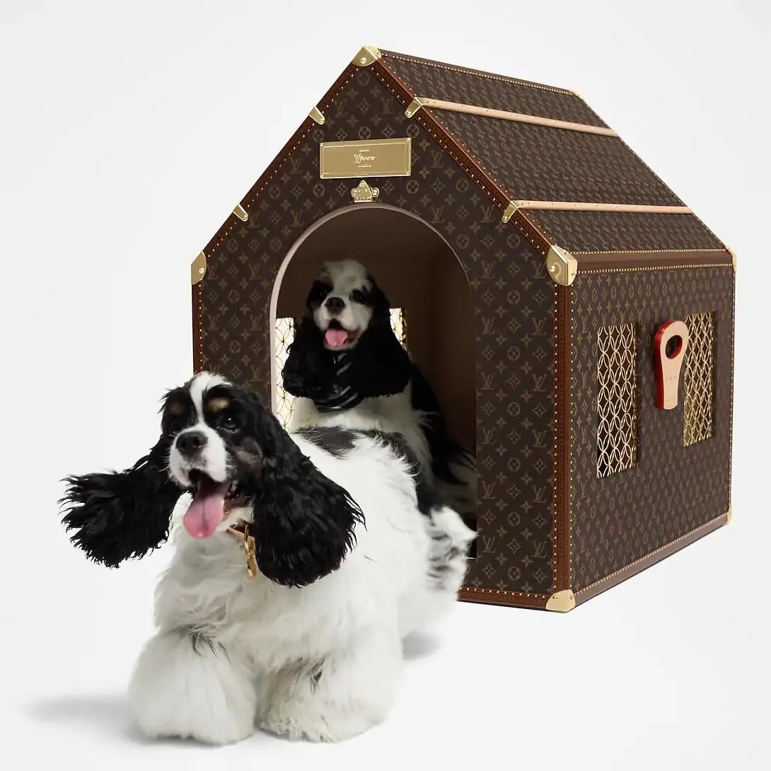 Trunk Kennel Louis Vuitton 