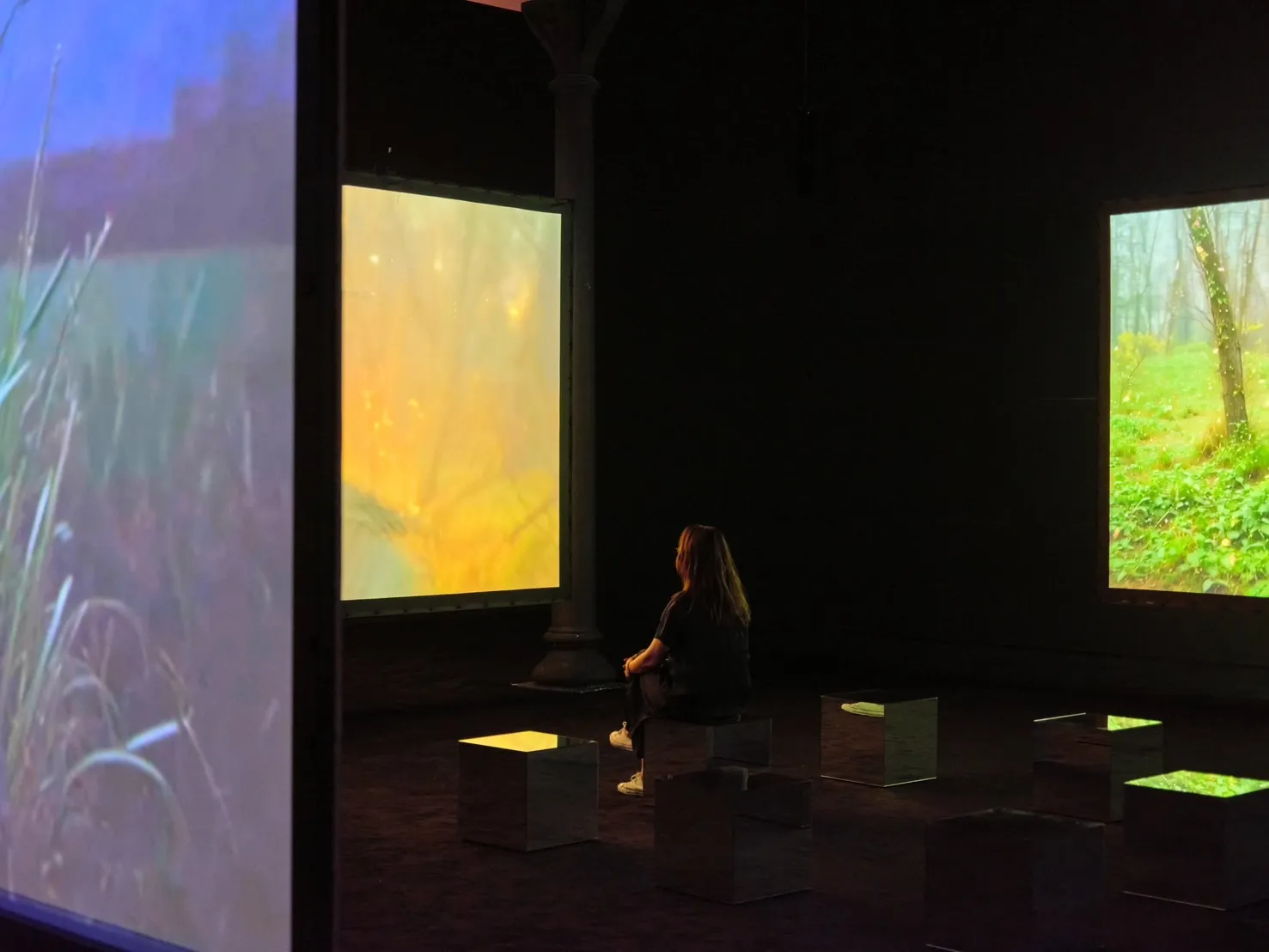 Gallery 1