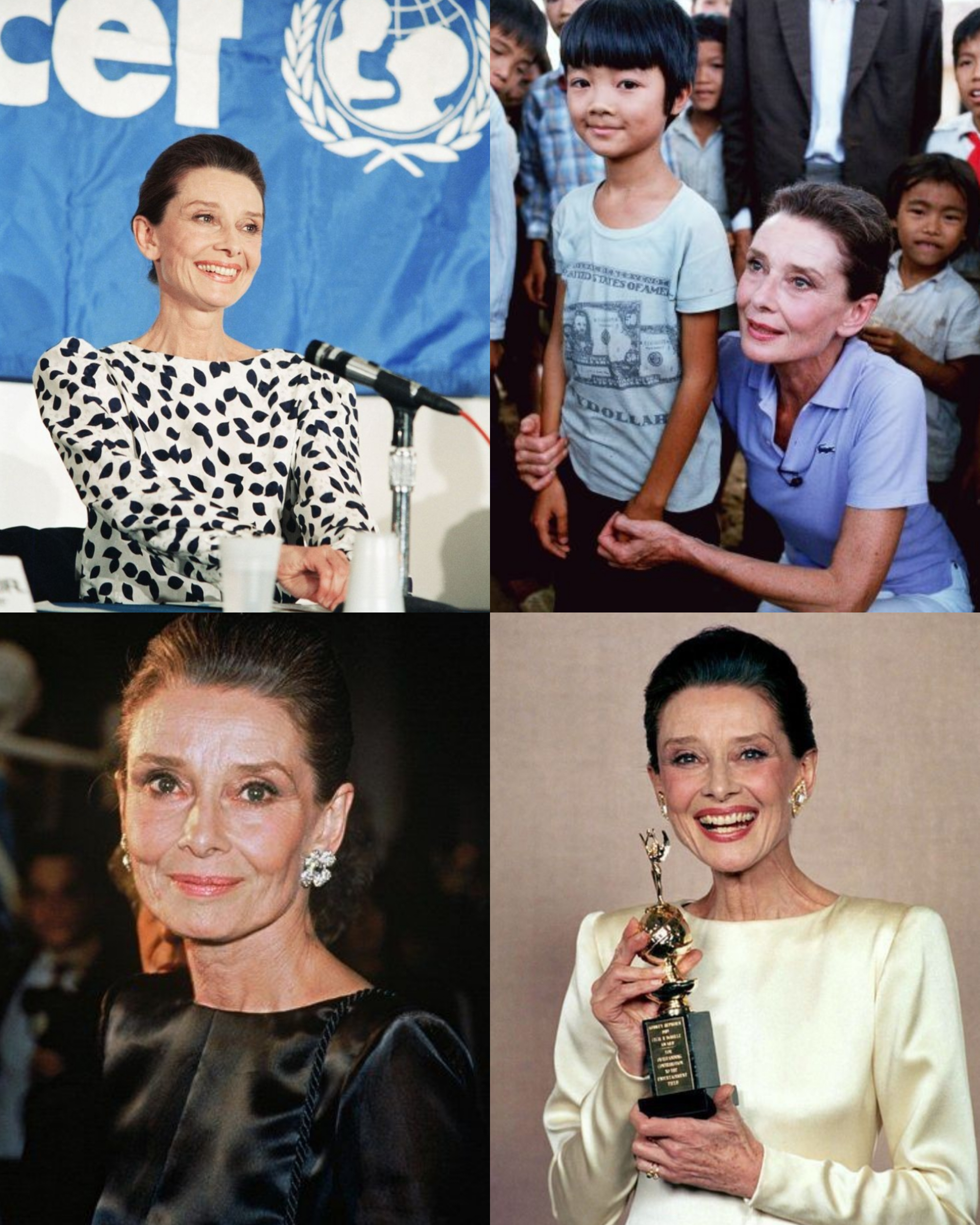 Audrey Hepburn Aged