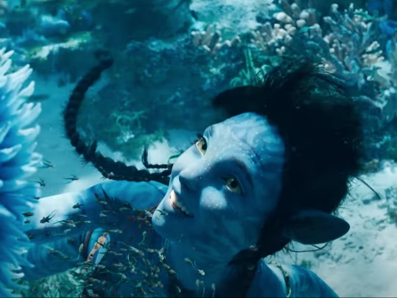 James Cameron, Avatar, James Cameron Avatar, Avatar 2, Avatar the way of water, avatar 3
