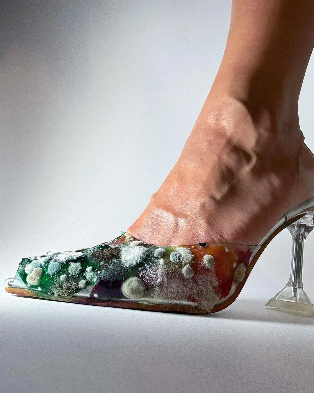 Mould Heels, รองเท้า, รองเท้าส้นสูง, รองเท้าขึ้นรา, ขึ้นรา