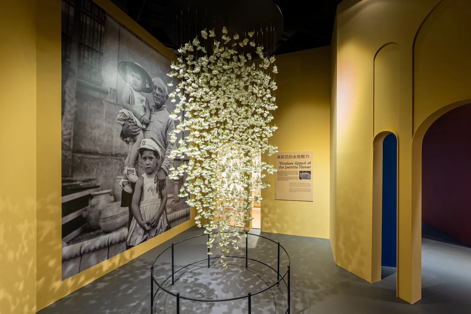 Gallery 3