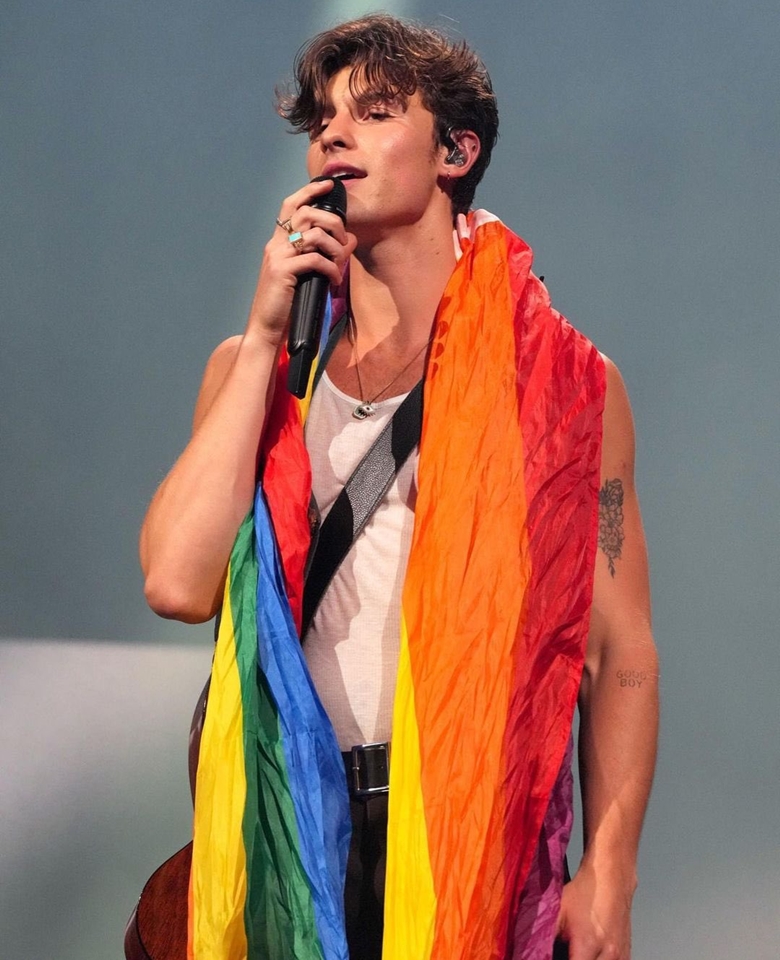 Shawn Mendes, LGBTQ+, lgbt, lgbtqia+, queer, shawn mendes gay, gay