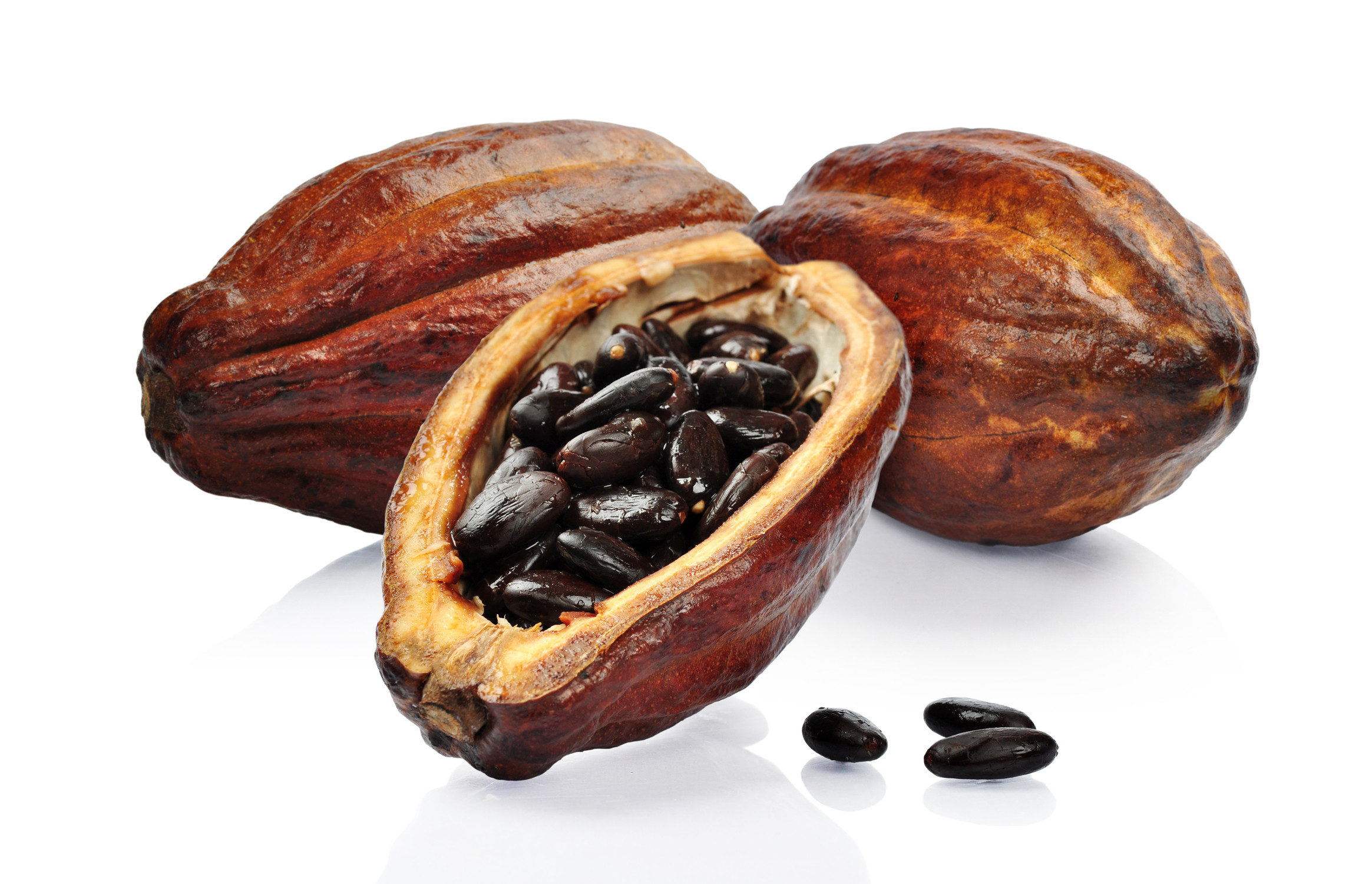cacao.jpg (2329×1500)