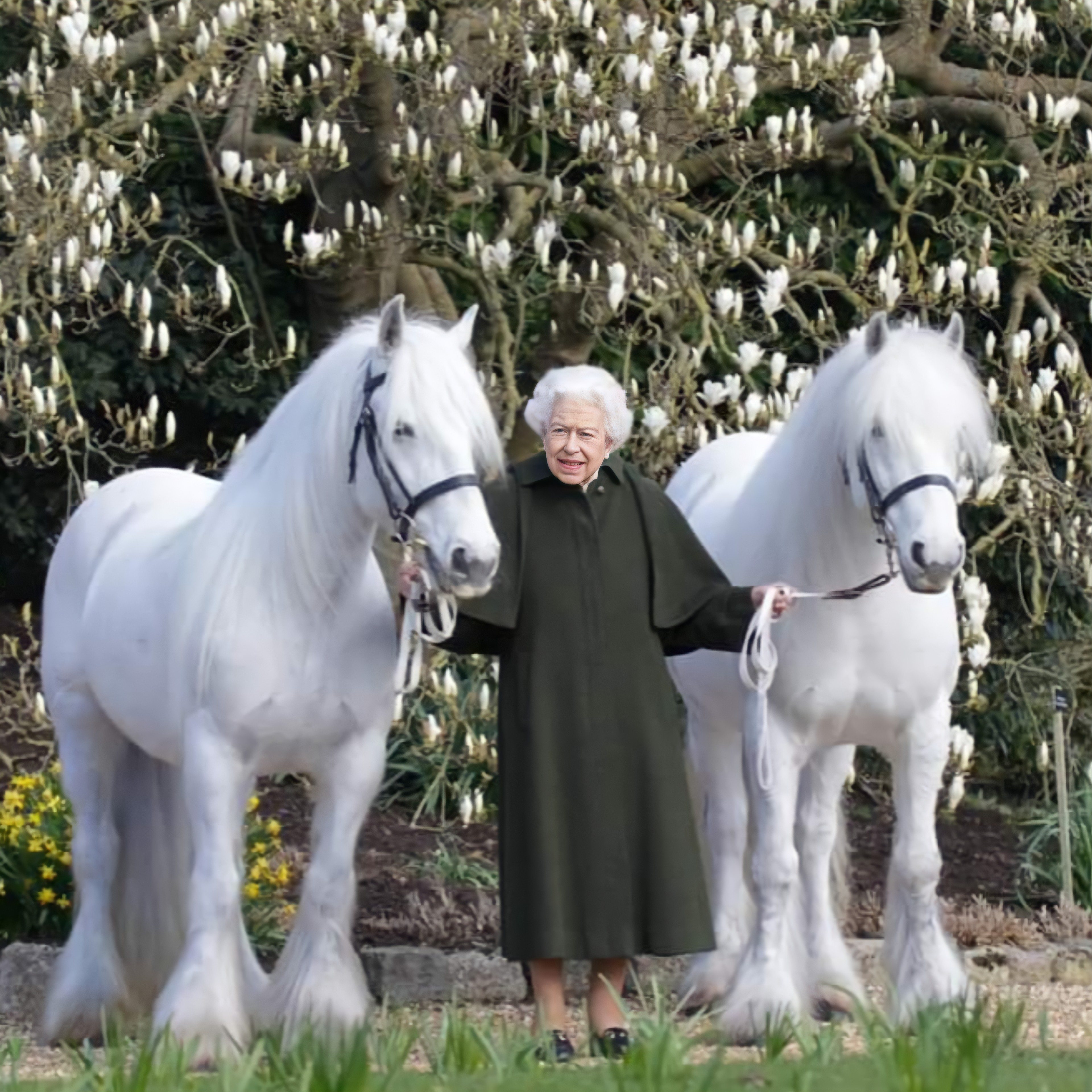 Queen Elizabeth 2 at 96th Birthday