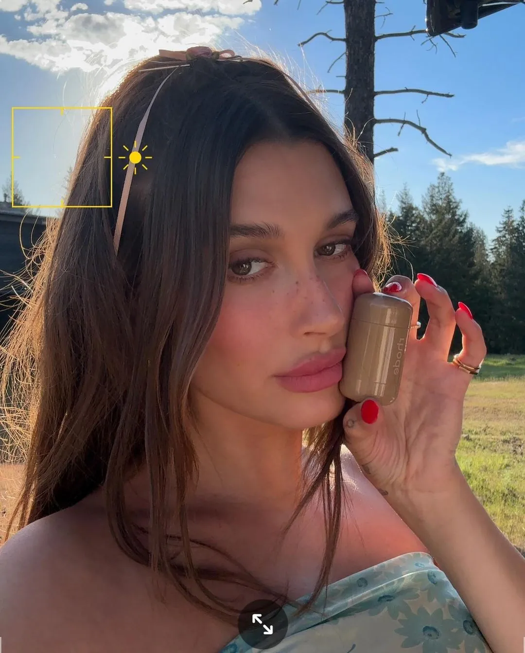 hailey bieber brunette hair