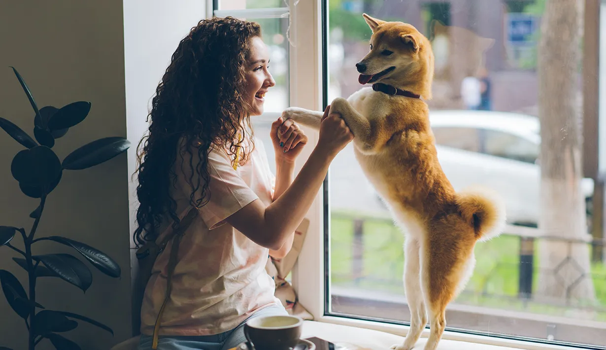 คาเฟ่ pet friendly