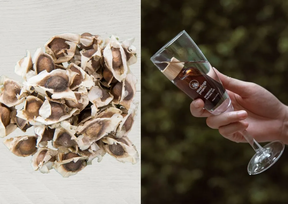 Moringa Project สกินแคร์แบรนด์ไทย